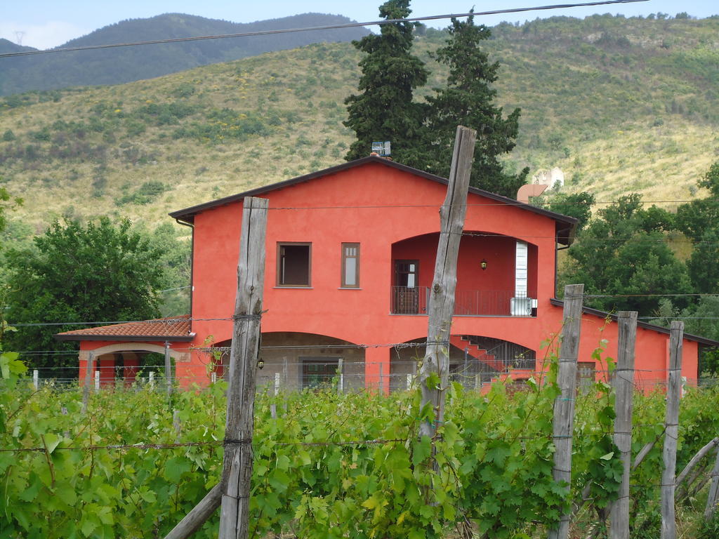 Agrituirsmo Masseria Campierti Falciano del Massico 外观 照片